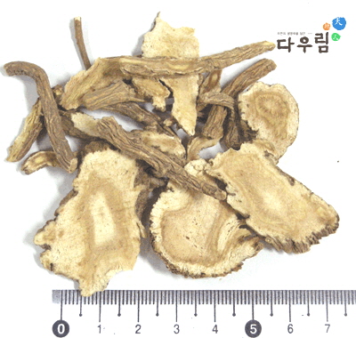 당귀/일당귀(중국) 1kg